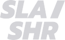 Logo Slashr